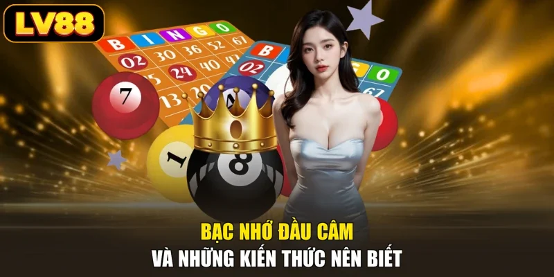 Bạc nhớ đầu câm và những kiến thức nên biết