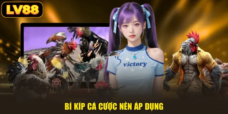 Bí kíp cá cược nên áp dụng