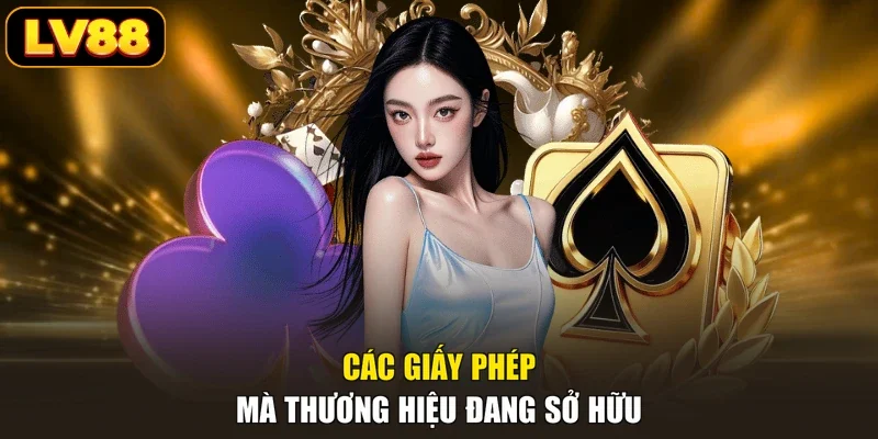 Các giấy phép mà thương hiệu đang sở hữu