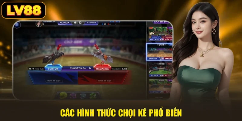 Các hình thức chọi kê phổ biến