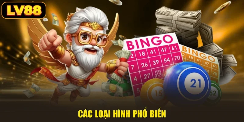 Các loại hình phổ biến