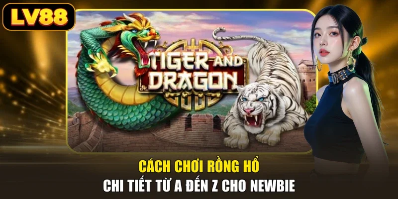 Cách chơi Rồng Hổ chi tiết từ A đến Z cho newbie