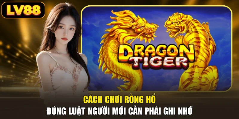 Cách Chơi Rồng Hổ Đúng Luật Người Mới Cần Phải Ghi Nhớ