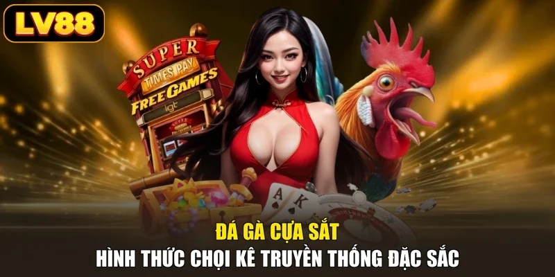Đá Gà Cựa Sắt - Hình Thức Chọi Kê Truyền Thống Đặc Sắc