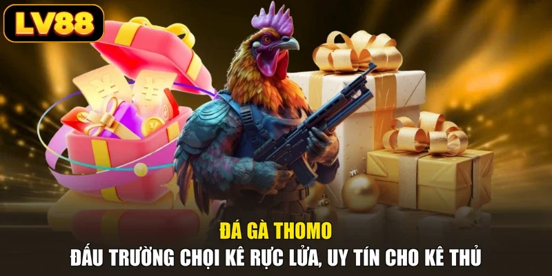 Đá Gà Thomo - Đấu Trường Chọi Kê Rực Lửa, Uy Tín Cho Kê Thủ