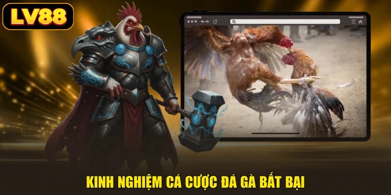 Kinh nghiệm cá cược đá gà bất bại