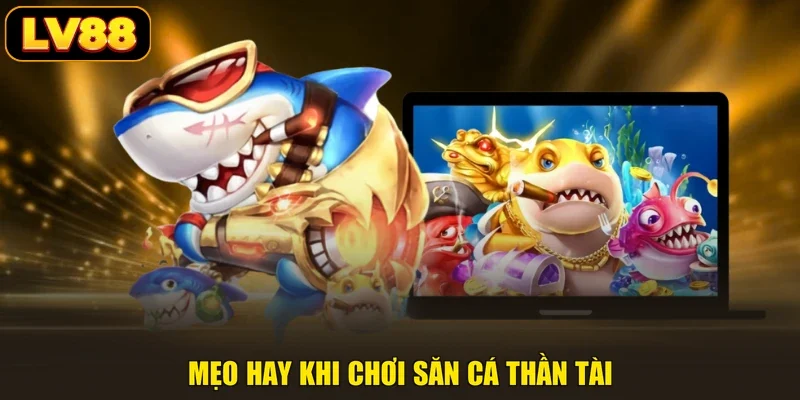 Mẹo hay khi chơi săn cá Thần Tài