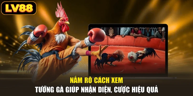 Nắm rõ cách xem tướng gà giúp nhận diện, cược hiệu quả