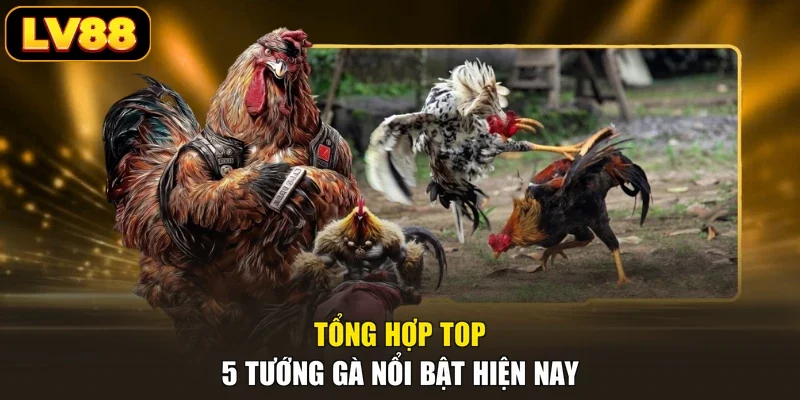 Tổng hợp top 5 tướng gà nổi bật hiện nay